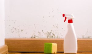Ways to Get Rid of Mold in Commercial Buildings