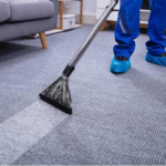 5 Benefits of Carpet Cleaning