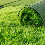 Artificial grass: why it’s perfect for Queensland homes