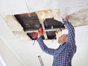 Exploring The Connection Between Water Damage And Health Issues