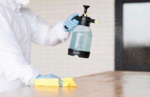 Effective Remedies for Mold Removal