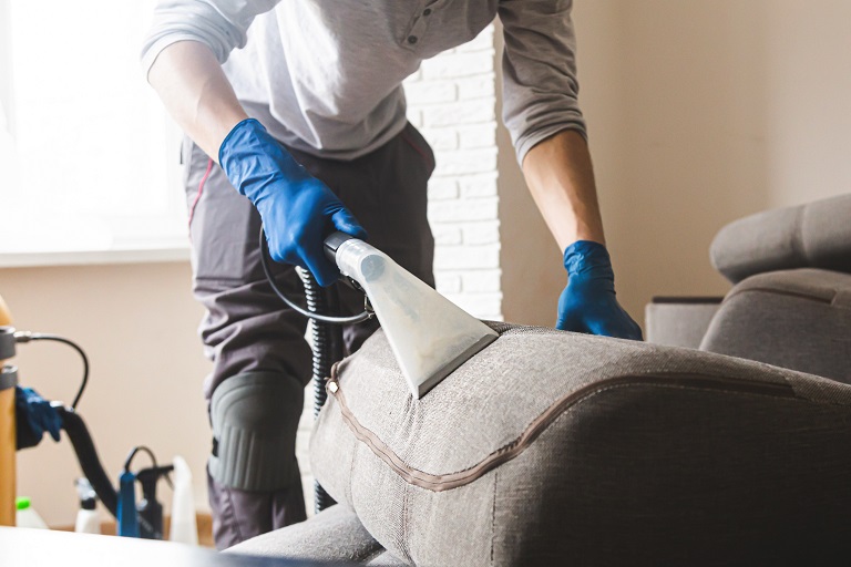 Dry cleaner's man employee removing dirt from furniture in flat, closeup, vacuum clean sofa with professional equipment
