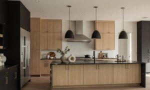 custom_cabinet_makers_near_me_tampa_custom_cabinet_14243_featured