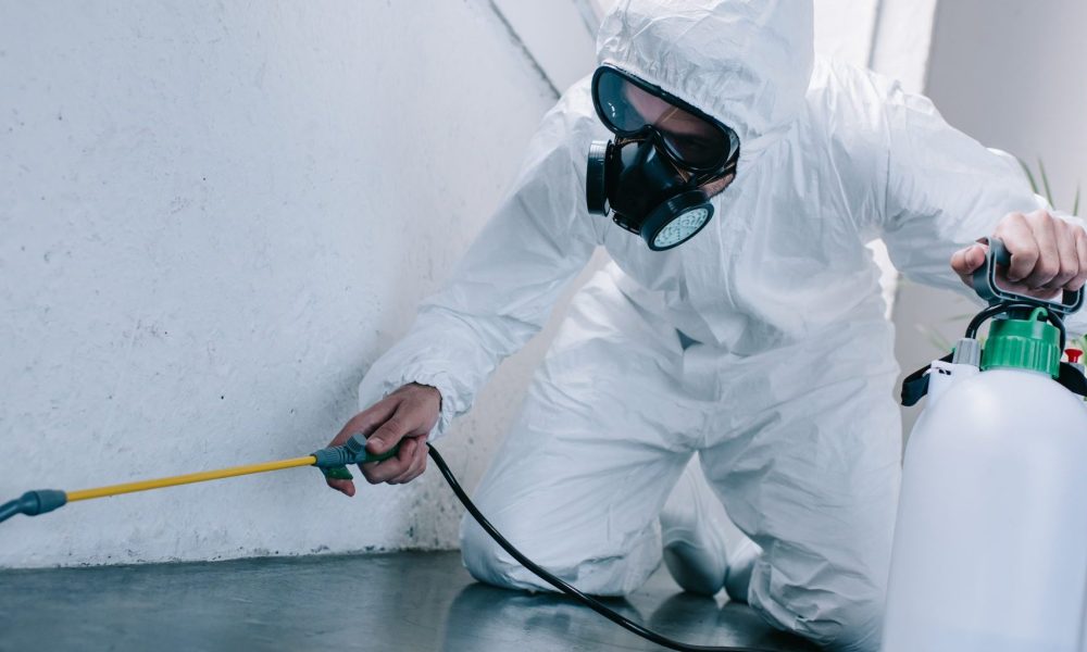 article_25739_featured_1773755115